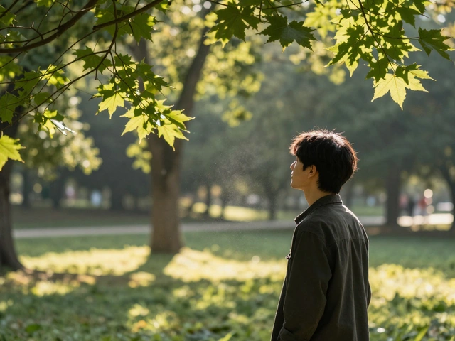 Как видит человек с 100% зрением?